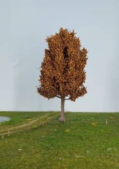Pear tree late fall Profi